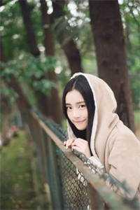 眉心月小说