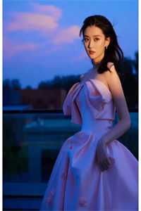 星河浅梦情已逝小说林如意江野完结版